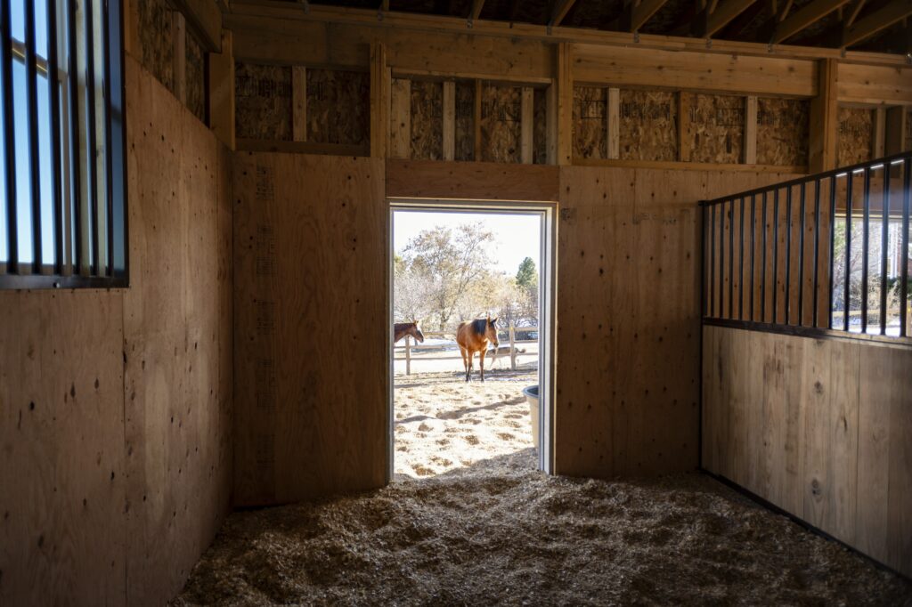 3 stall horse barn in Parker - interior